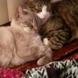 Meet your Posher, Dawn